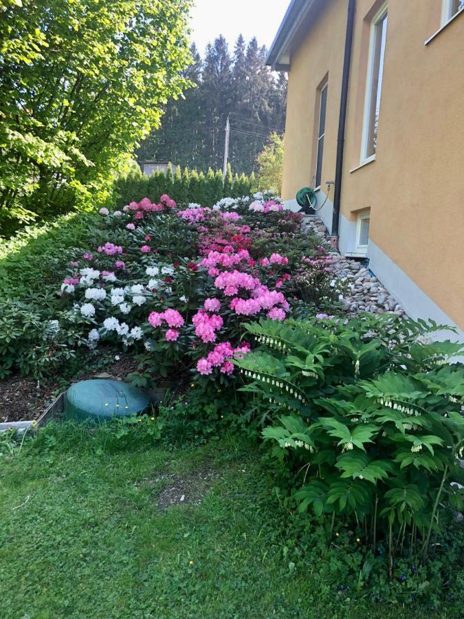 Am Wildbach Bei Passau Apartment Saming Exterior photo