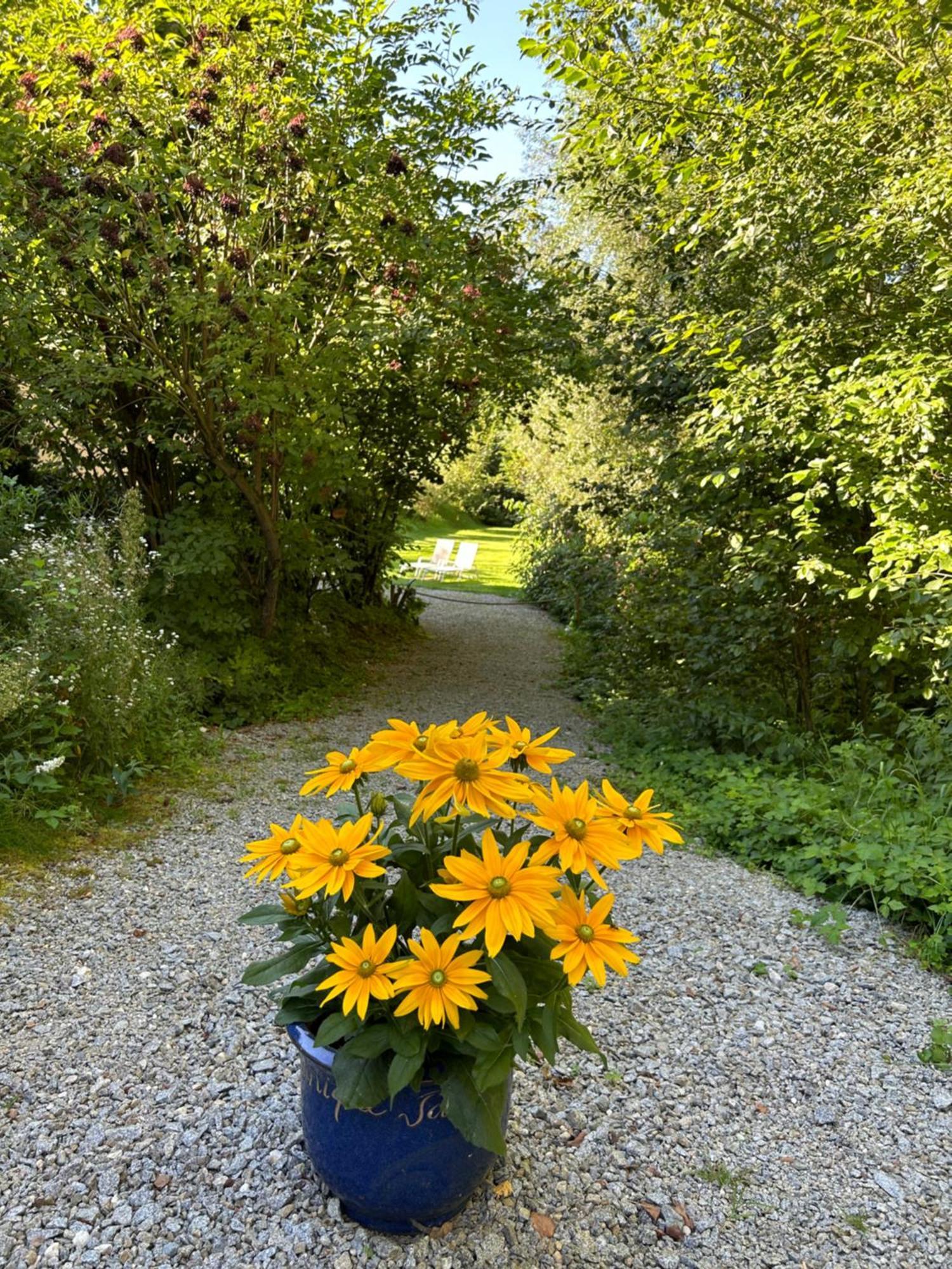 Am Wildbach Bei Passau Apartment Saming Exterior photo